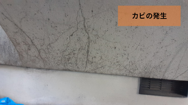 防カビ剤標準搭載