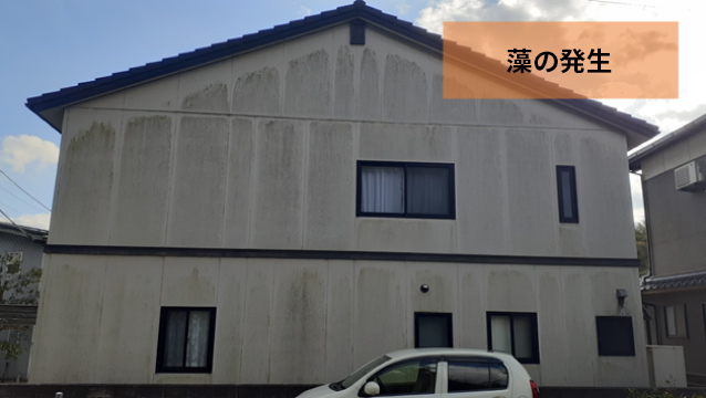 防藻剤標準搭載