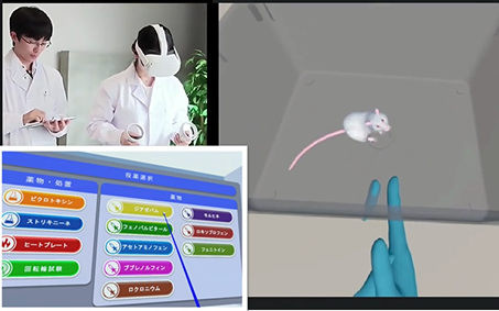 BMP-VRとは何か?