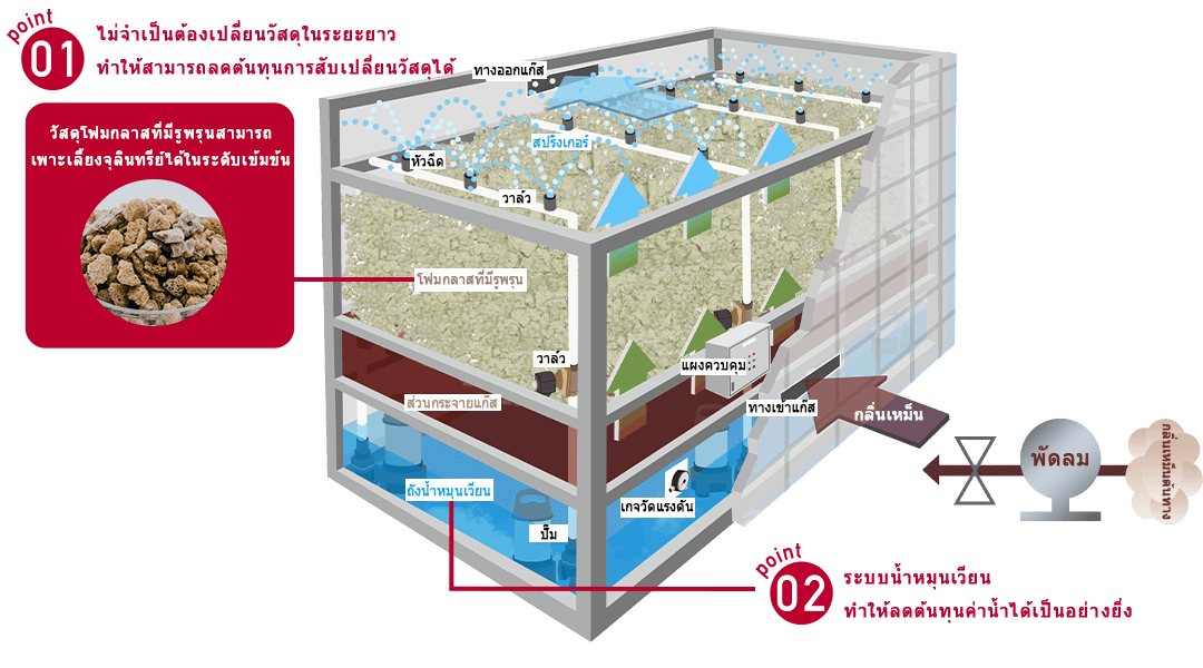 พลังกำจัดกลิ่นสูงกว่าถึง 7 เท่าเมื่อเทียบกับวิธีการดั้งเดิม