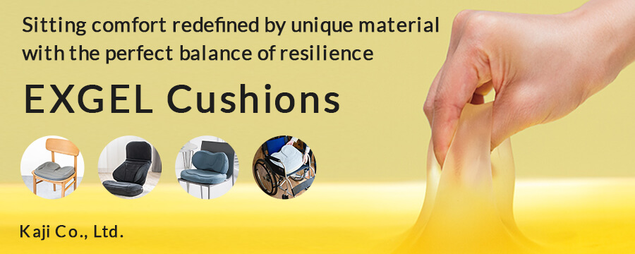 EXGEL Cushions