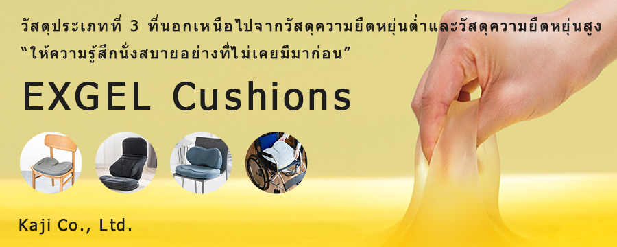 EXGEL Cushion